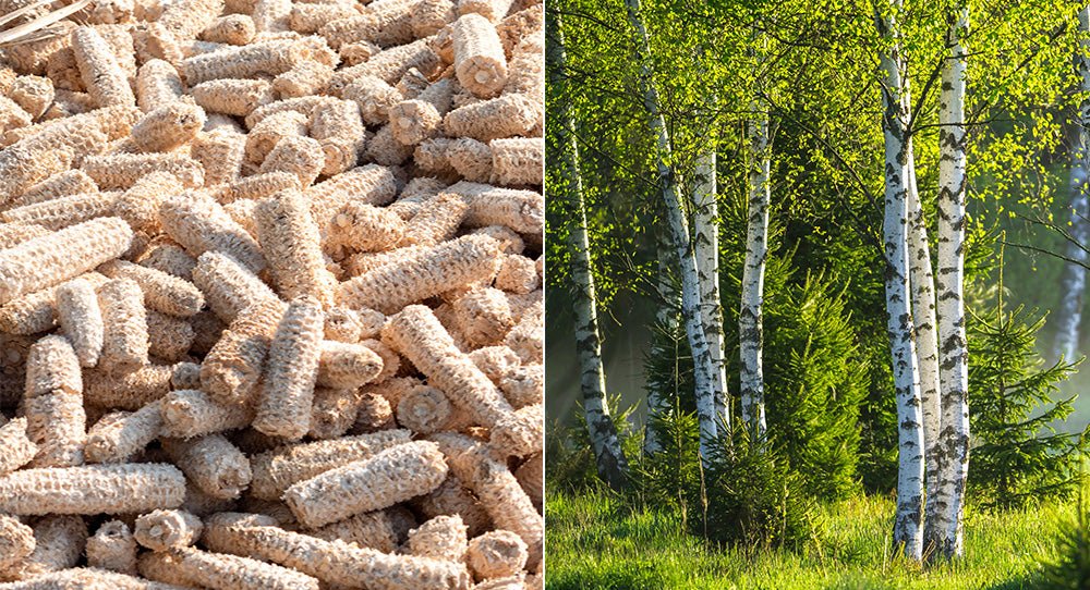 Corn Xylitol vs Birch Xylitol