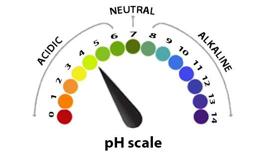 acidic saliva